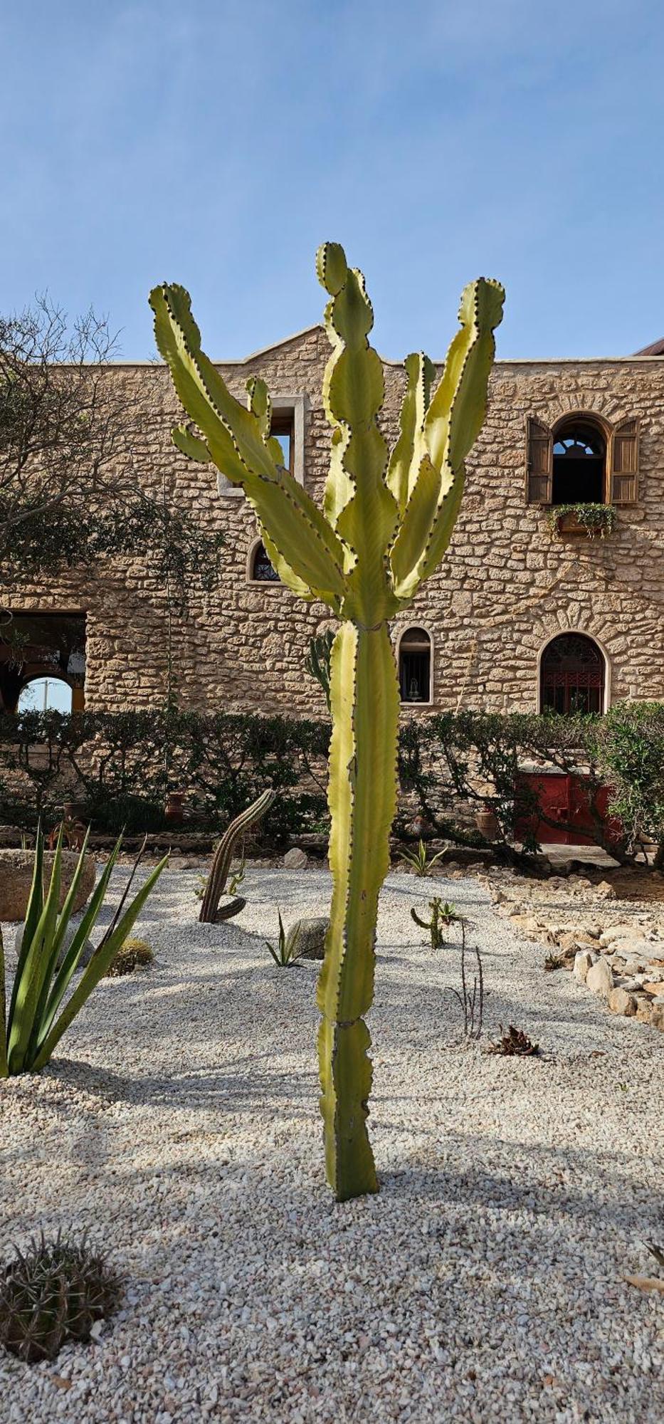 Hotel Golden Baibah. Zaouia Akermoud Exterior foto